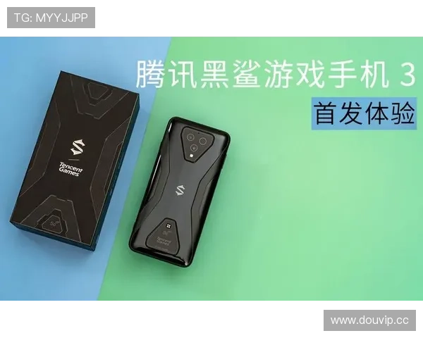 亚博YB官网下载官方平台,确保账号安全与游戏顺畅体验 亚博YB官网下载官方平台,确保账号安全与游戏顺畅体验