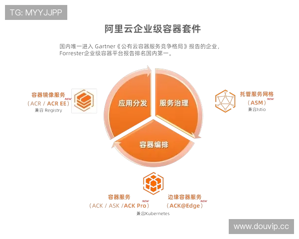 开云体育的网址安全性分析与防止诈骗的有效措施介绍