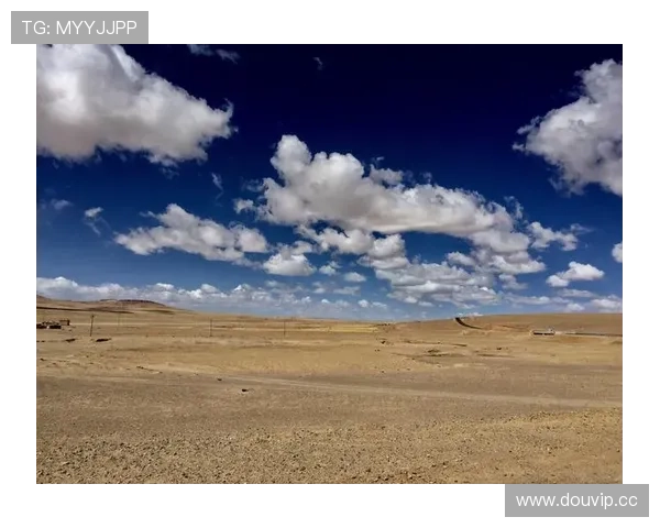 开云滚球盘比赛前的全面分析与预测技巧提升你的投注成功率 开云滚球盘比赛前的全面分析与预测技巧提升你的投注成功率