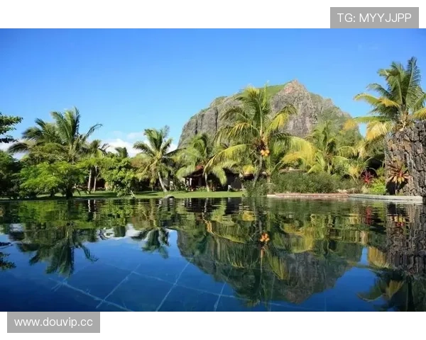 开启云端奢华体验：开云com助你轻松掌握全球顶级品牌资讯