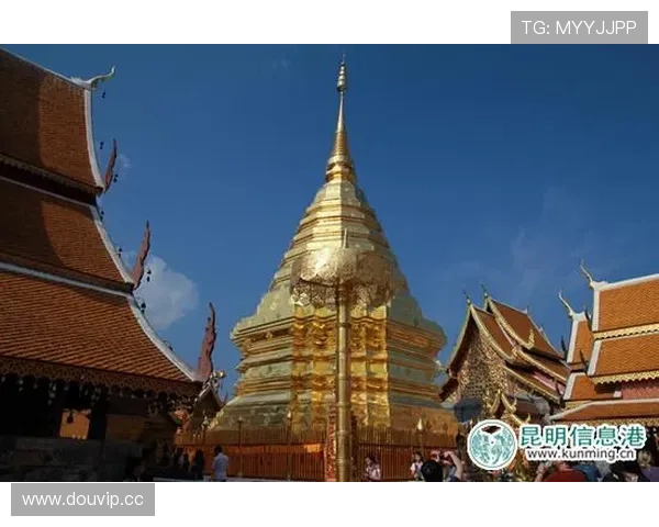 开运国际入口带你开启幸运之门,助你实现财富与健康梦想 开运国际入口带你开启幸运之门,助你实现财富与健康梦想